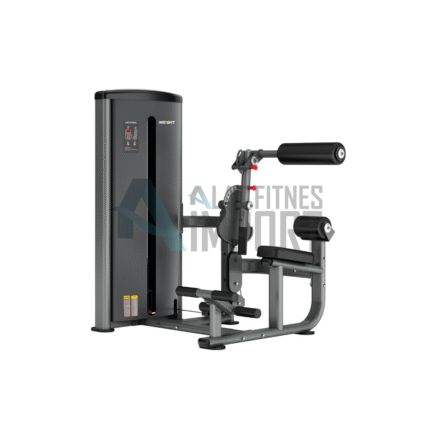 Insight Abdominal/Back Extension BS013