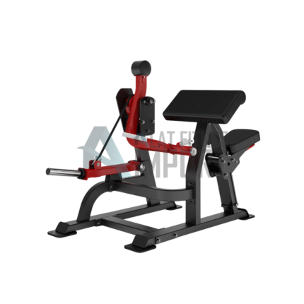 Insight Bicep Curl DH021