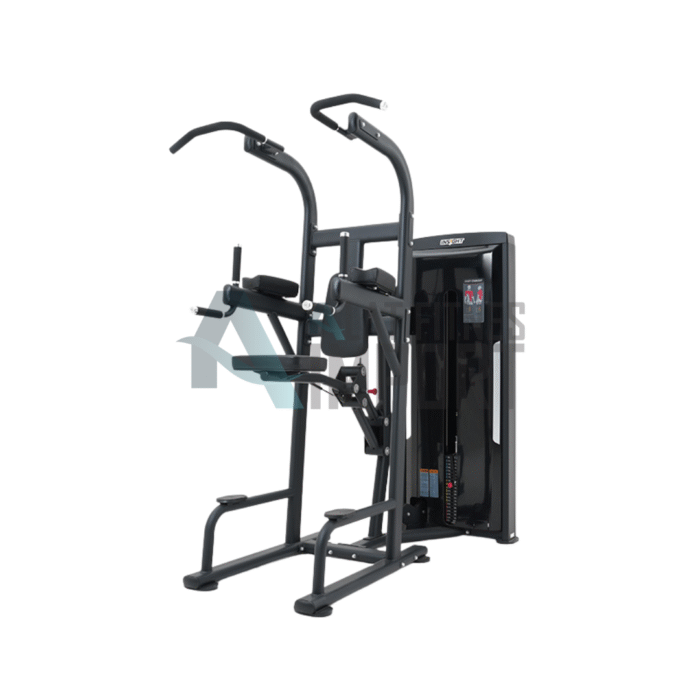 Insight Assisted Chin/Dip SA008 - Image 1