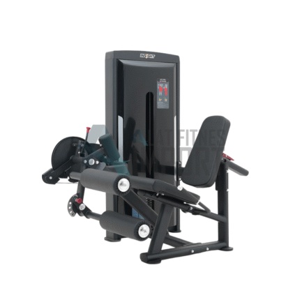 Insight Leg Curl/Extension SA025