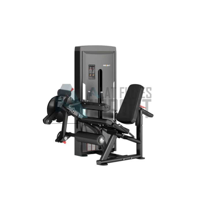 Insight Leg Curl/Extension SA037 - Image 1