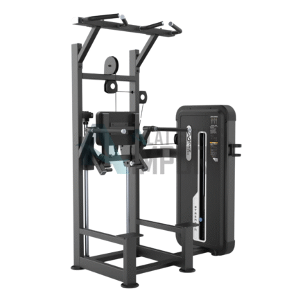 DHZ Dip & Chin Assist E3009