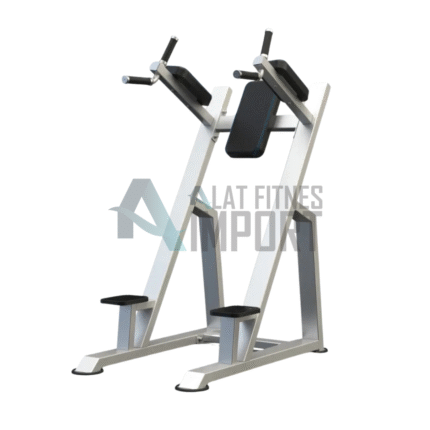 DHZ Vertical Knee Up/Dip E3047