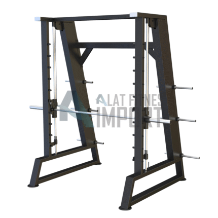 DHZ Smith Machine E3063