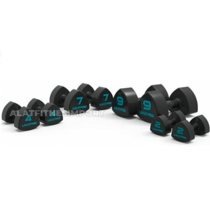 Livepro Studio Dumbbell 1-10kg + Vertical Dumbbell Rack 10pairs - Image 2