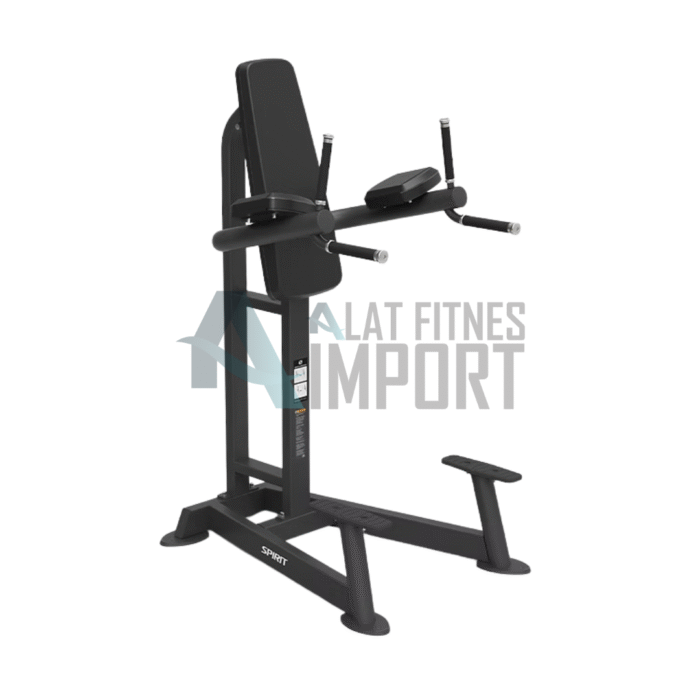 Spirit Leg Raise/Dip SP-4215 - Image 1