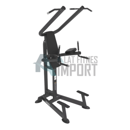Spirit Chin/Dip SP-4219