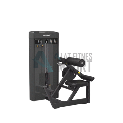 Spirit Back Extension SP-4310